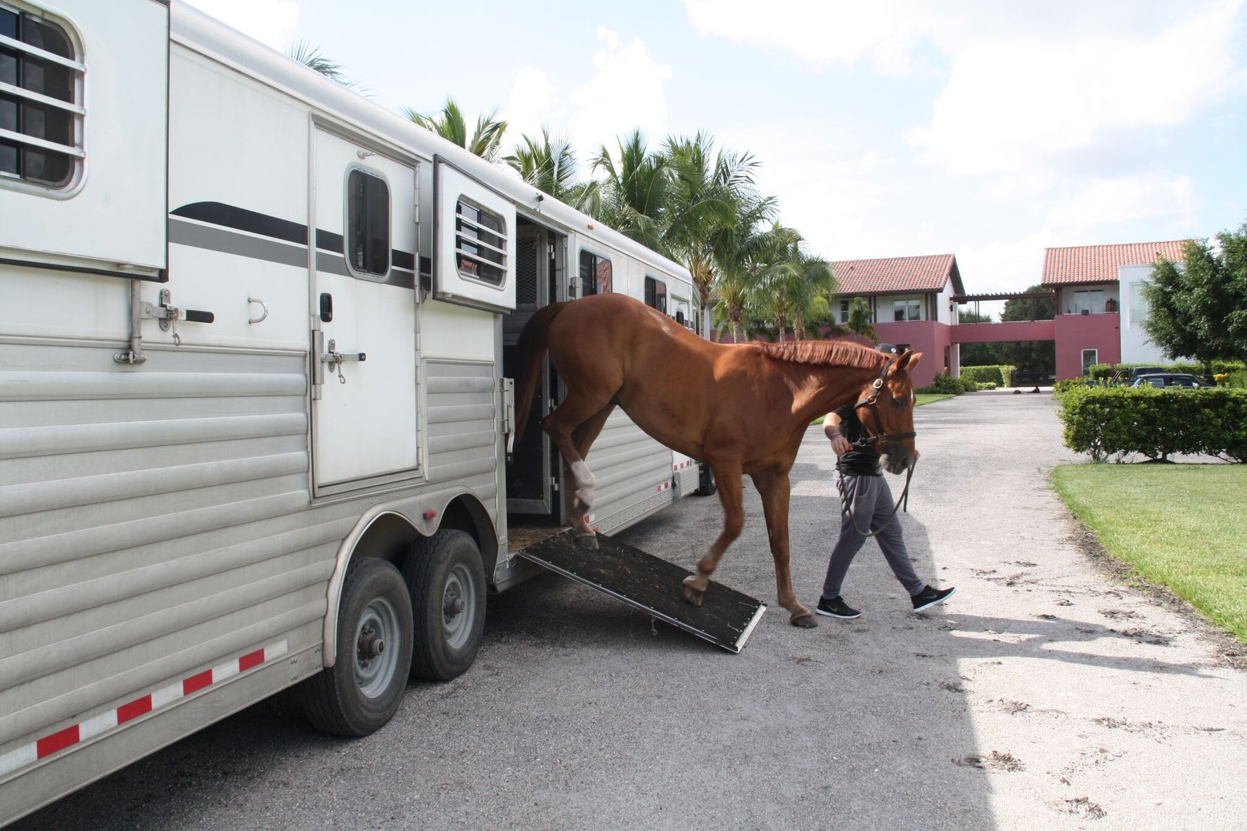 10 Safety Tips for Horse Trailering
